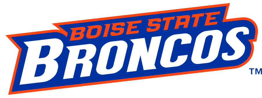 Boise State Broncos 2012-2013 Wordmark Logo v2 diy DTF decal sticker